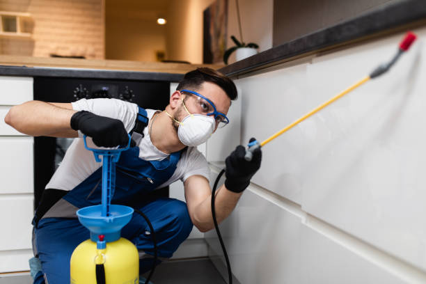 Best Pest Inspection Near Me  in Tawas City, MI