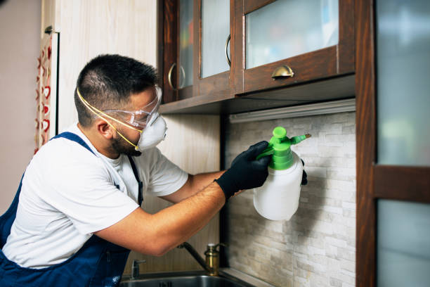  Tawas City, MI Pest Control Pros