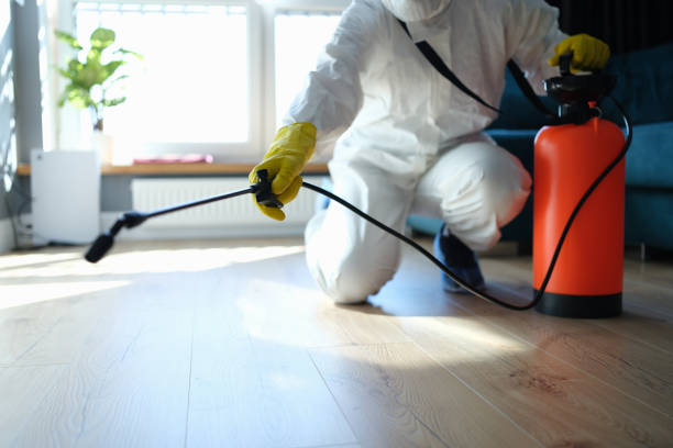 Best Flea Control Services  in Tawas City, MI