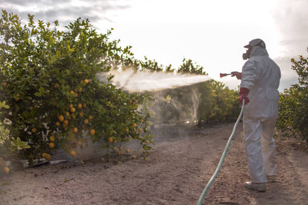 Best Exterminator Services  in Tawas City, MI