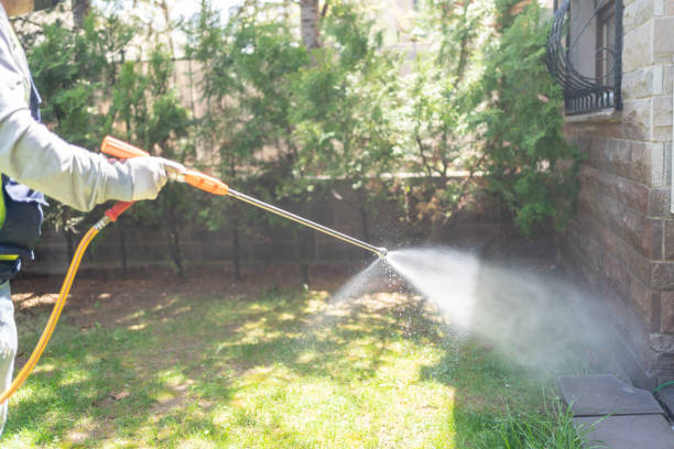 Best Affordable Pest Control Services  in Tawas City, MI