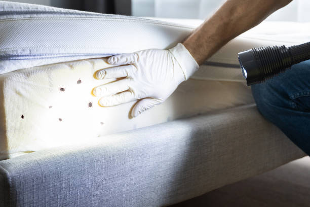Best Residential Pest Control  in Tawas City, MI