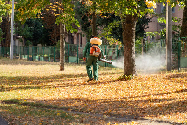 Best Termite Control Services  in Tawas City, MI