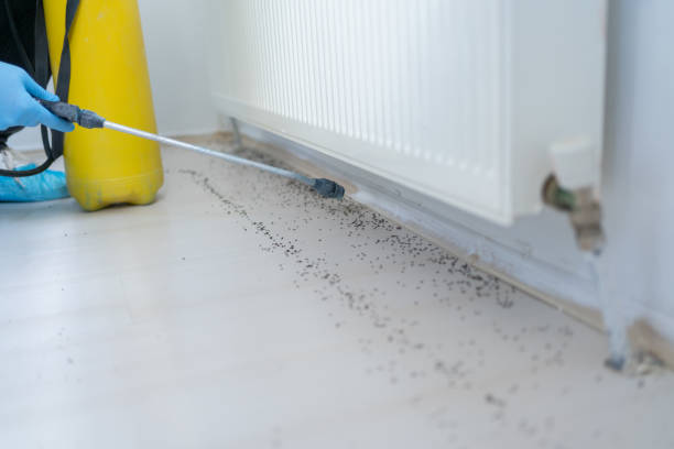 Best Pest Prevention Services  in Tawas City, MI