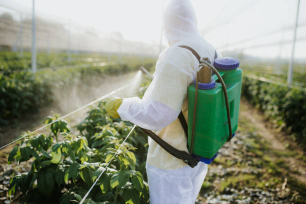 Best Best Pest Control Companies  in Tawas City, MI